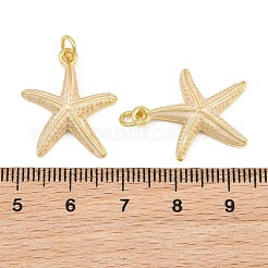 真鍮製エナメルペンダント  ヒトデのチャーム  長持ちメッキ  ラックめっき  カドミウムフリー＆鉛フリー  ゴールドカラー  アンティークホワイト  22x18x3mm  穴：3.5mm&nbsp;KK-CBACBC6-05G-05