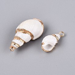 電気メッキ天然貝殻ペンダント  貝殻の形のチャーム  鉄製のループと真鍮製の金具付き  ホワイト  ライトゴールド  15~30x8~15x7~13mm  穴：1.6~1.8mm&nbsp;SSHEL-Q100-06KCG