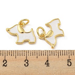 Brass Enamel Charms&nbsp;KK-E093-01G-01