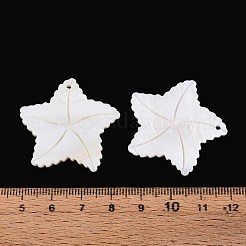 天然淡水貝の彫刻ペンダント  ヒトデのチャーム  貝殻色  33~33.5x34.5~35x3mm  穴：1.6mm&nbsp;SHEL-T020-64