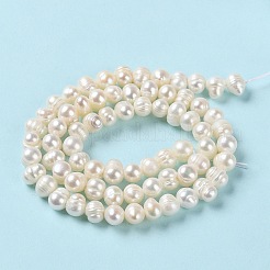 Natural Cultured Freshwater Pearl Beads Strands&nbsp;PEAR-E018-54