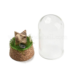 Gemstone Polygon Display Decoration with Glass Dome Cloche Cover&nbsp;DJEW-B009-05