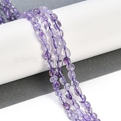 Natural Lavender Amethyst Beads Strands&nbsp;G-P497-01B-21