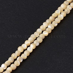 Natural Trochid Shell/Trochus Shell Beads Strands&nbsp;SSHEL-S266-023B-01