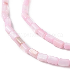 天然淡水貝殻染めビーズ連売り  コラム  ピンク  4.8x3mm  穴：0.8mm  約78個/連  14.96''（38センチメートル）&nbsp;X-SHEL-M018-12-09