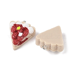 Opaque Resin Pendants&nbsp;FIND-Z092-01P-01