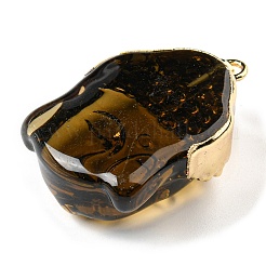 Glass Pendants&nbsp;KK-I639-04FG