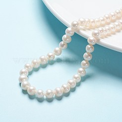 Natural Cultured Freshwater Pearl Beads Strands&nbsp;PEAR-R063-16