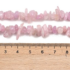 Natural Kunzite Beads Strands&nbsp;G-P597-A01-01