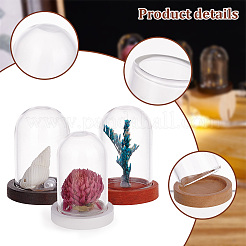 10Pcs Mini Glass Domes&nbsp;AJEW-PH0004-32B