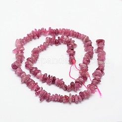 Chips Natural Tourmaline Beads Strands&nbsp;X-G-N0164-04B
