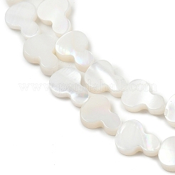 天然淡水シェルビーズ連売り  ヒョウタン  貝殻色  10x7.5~8x2~2.7mm  穴：0.5mm  約40個/連  15.55''（39.5センチメートル）&nbsp;SHEL-K010-02A