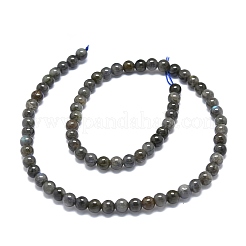 Natural Larvikite Beads Strands&nbsp;G-O201A-07A