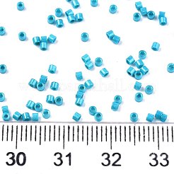 FGB 11/0 Grade A Baking Paint Glass Seed Beads&nbsp;SEED-S030-1041