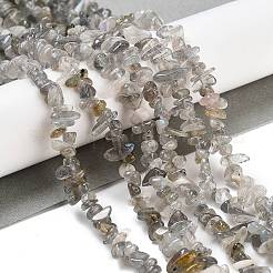 天然石ラブラドライトビーズ連売り  チップ  グレードA  3~10x3~5.5x2~4.5mm  穴：0.6mm  31.89''（81センチメートル）&nbsp;X-G-G0003-B43