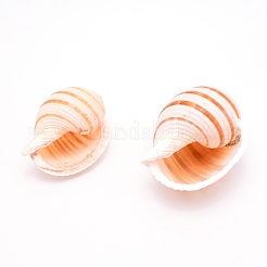 Natural Shell&nbsp;DJEW-WH0010-70