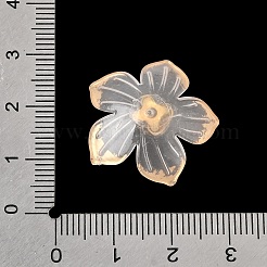 Transparent Resin Cabochons&nbsp;RE-CBADCDD-05
