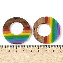 Pride Rainbow Theme Resin & Walnut Wood Pendants&nbsp;WOOD-K012-04