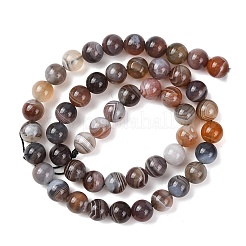 Natural Botswana Agate Beads Strands&nbsp;G-G453-A01-8mm