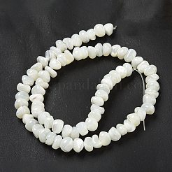 天然ニシキウズガイシェルビーズ連売り  ナゲット  ホワイトスモーク  4.5~16.5x6~11.5x6~9mm  穴：0.5mm  約74個/連  15.79''（40.1センチメートル）&nbsp;BSHE-G039-01B