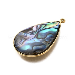 304 Stainless Steel Pave Natural Paua Shell Pendants&nbsp;STAS-Z125-01F-G