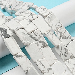 Natural Howlite Beads Strands&nbsp;G-M420-G09-01
