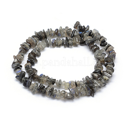 天然石ラブラドライトビーズ連売り  グレードA  チップ  5~8mm  穴：0.8mm  約16インチ（40.6cm）&nbsp;G-P332-54