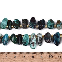 Natural Chrysocolla Beads Strands&nbsp;G-Z091-A46