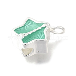Brass Enamel Charms&nbsp;KK-U072-10S