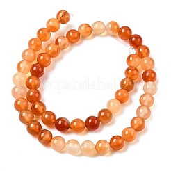 Natural Red Agate Beads Strands&nbsp;G-B167-A12-8mm