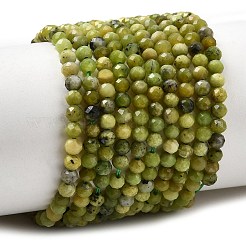 Natural Serpentine Beads Strands&nbsp;G-P603-C-3mm-06