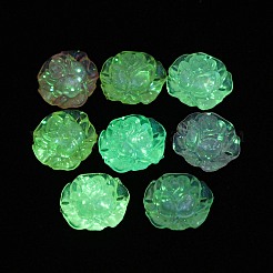 Luminous Acrylic Beads&nbsp;MACR-D024-25