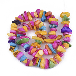 Freshwater Shell Beads Strands&nbsp;SHEL-S276-30