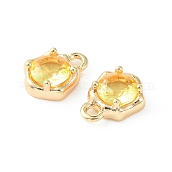 Brass Micro Pave Cubic Zirconia Charms&nbsp;KK-L208-10G-04