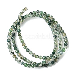 Natural Moss Agate Bead Strands&nbsp;G-K146-07-3mm