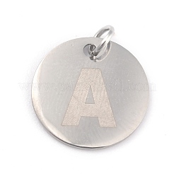 Non-Tarnish 304 Stainless Steel Charms&nbsp;STAS-H159-01P