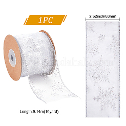 Transparent Single Face Chiffon Ribbon for Christmas&nbsp;OCOR-WH0071-008A