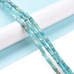 天然ドロマイト & 合成オパール ビーズ 連売り  染め  竹の棒  淡いターコイズ  12x5mm  穴：0.5mm  約34個/連  15.94''（40.5センチメートル）&nbsp;G-P475-03C