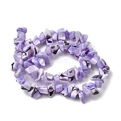 Natural Trochid Shell/Trochus Shell Beads Strands&nbsp;SHEL-B003-02F