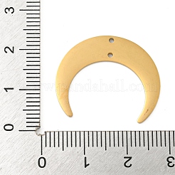 Ion Plating(IP) 304 Stainless Steel Connector Charms&nbsp;STAS-B056-27G
