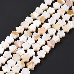 天然淡水シェルビーズ連売り  染め  花  モカシン  8x8x3mm  穴：0.8mm  約52個/連  15.16''（38.5センチメートル）&nbsp;SHEL-H002-03G
