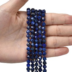 Natural Lapis Lazuli Beads Strands&nbsp;G-Z119-A39-01