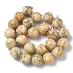 Natural Feldspar Beads Strands&nbsp;G-F818-A06-16mm-02