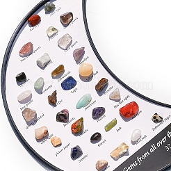 天然石ナゲットコレクション  地球科学教育用  月箱：15.5x110x15mm  宝石：8~14x5~8mm  32個/箱&nbsp;G-F734-05
