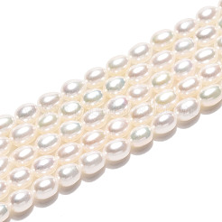 Natural Cultured Freshwater Pearl Beads Strands&nbsp;PEAR-N024-04-4AB