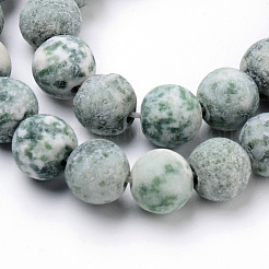 Natural Green Spot Jasper Round Bead Strands&nbsp;G-Q462-74-6mm