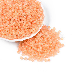 Transparent Inside Colours Glass Seed Beads&nbsp;SEED-T007-20A-02