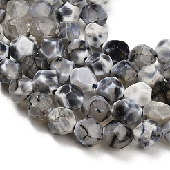 Natural Agate(Dyed & Heated) Beads Strands&nbsp;G-K425-B04-01