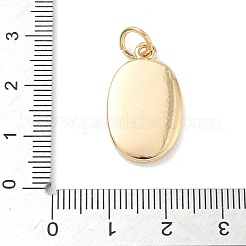 プリントブラスペンダント  楕円形のチャーム  丸カン付き  ゴールドカラー  鳥  23.5x13.5x3mm  穴：4.5mm&nbsp;X-KK-D104-02B-G