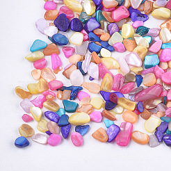 Shell Beads&nbsp;MRMJ-S034-06G